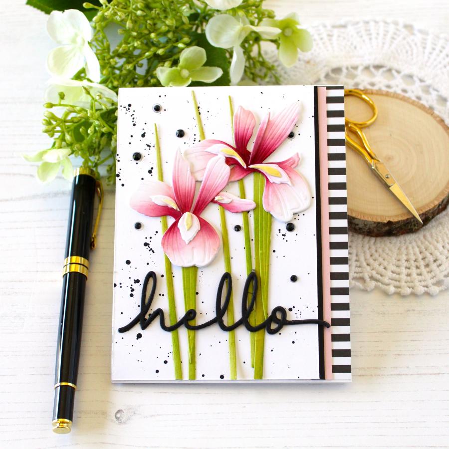 1 pz Piggy Craft metallo fuste - Stencil Cutting Plotter recensione e prezzo
