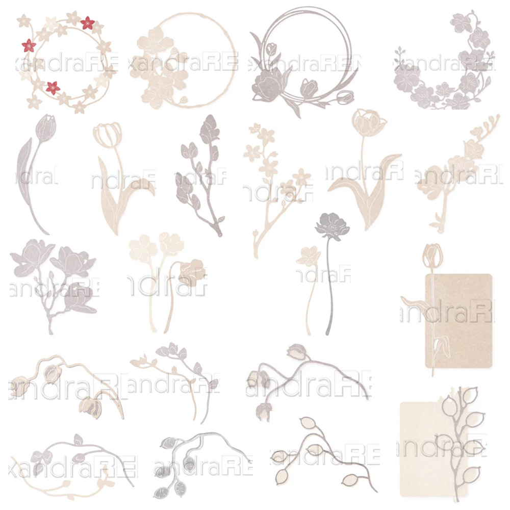 Piggy Craft metallo fustelle t - Stencil Cutting Plotter recensione e prezzo