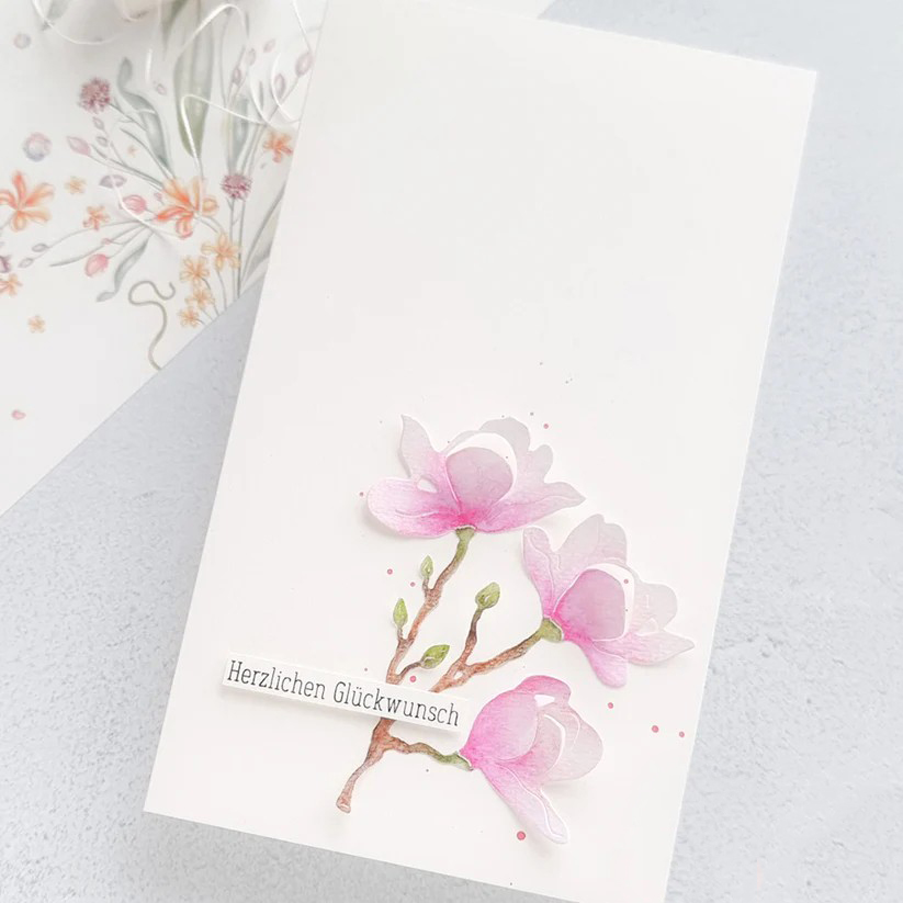 Piggy Craft metallo fustelle t - Stencil Cutting Plotter recensione e prezzo