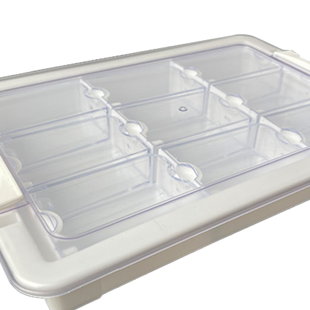 Set di Scatole Trasparenti per - Art Craft Painting recensione e prezzo